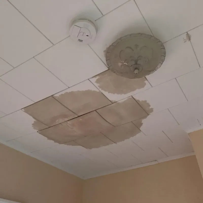 Ceiling Water Damage Repair in Oakland, ME