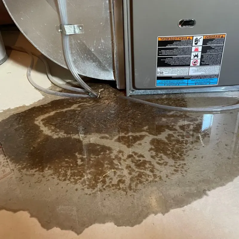 Pipe Burst and Leak Restoration in Oakland, ME