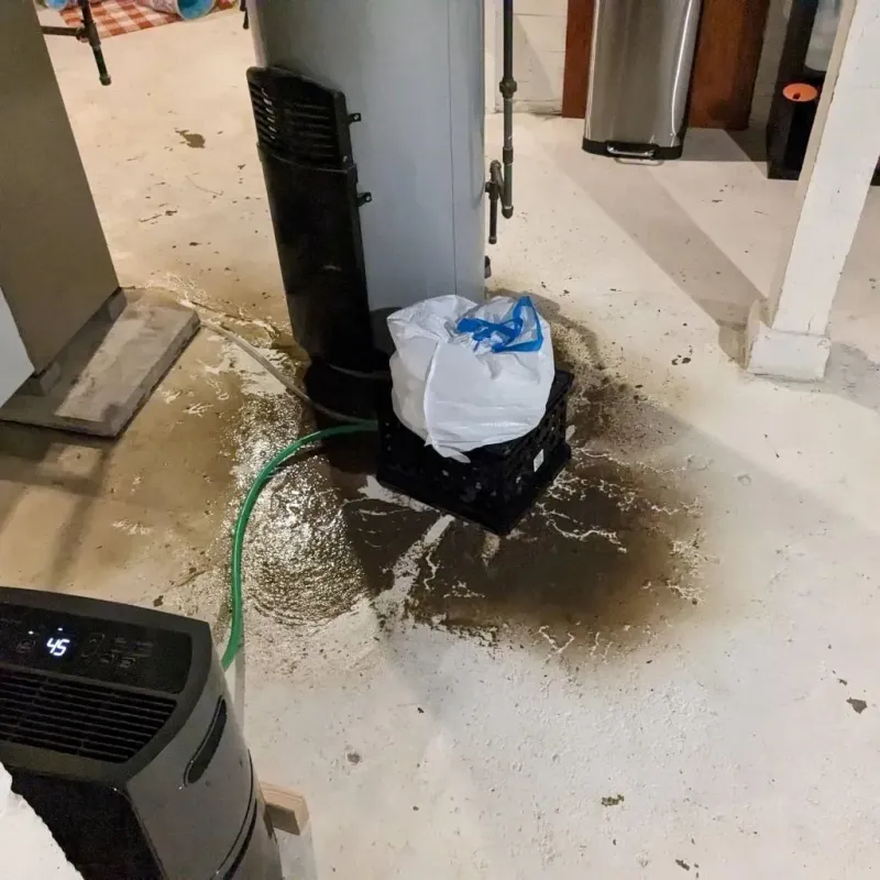 Sewage Backup Cleanup Service in Oakland, ME